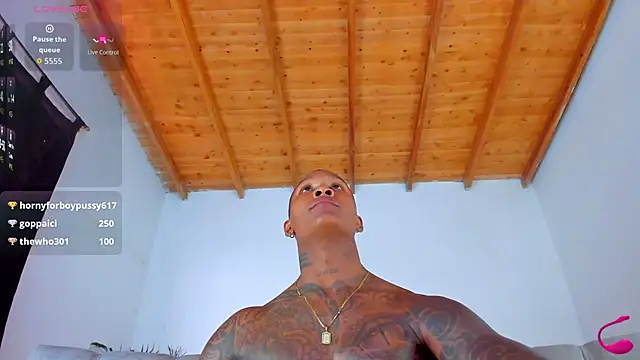 esteveen_ortegas_ webcam