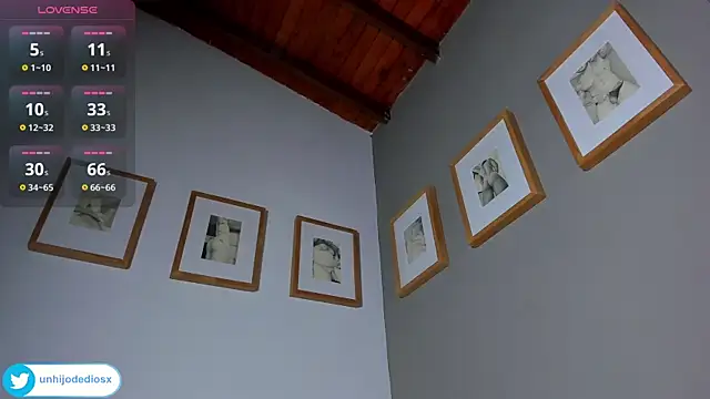 Ackerman_Eren_ webcam