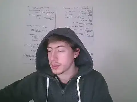 VelvetRagottiOG webcam