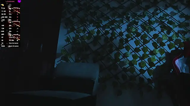 Dominus_Alpha webcam