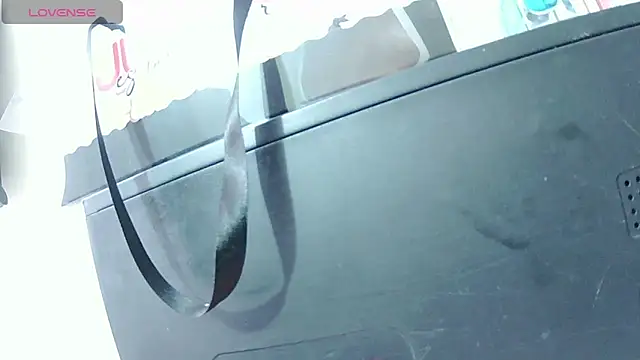 ashleey_palmer webcam