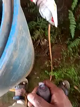 sanju_5418 live sex cam