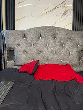 Preview of noah-ledom