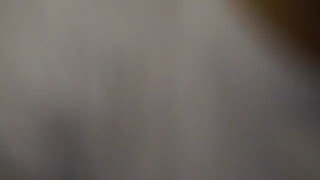 -AyeshaSinghania- webcam