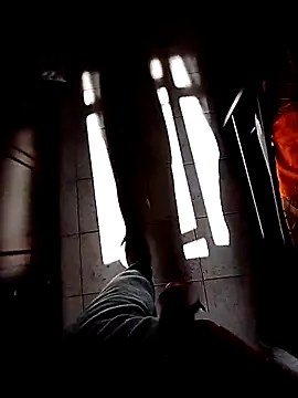 Porcopalestratocazzone21