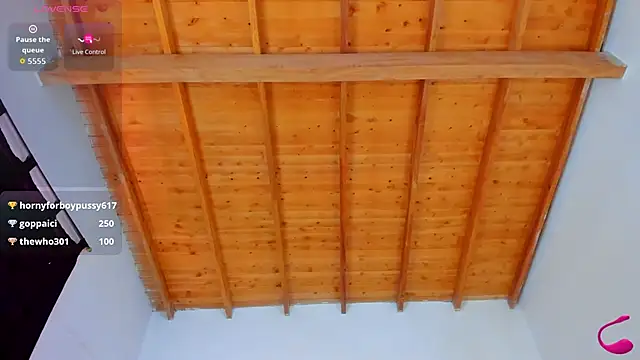 esteveen_ortegas_ webcam