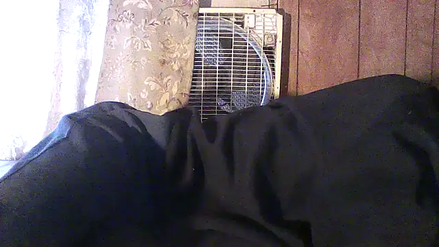 luke_thighwalker... Live Webcam on Stripchat