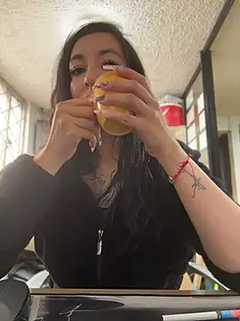 SALOME_KORLAND webcam