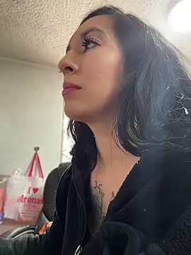 SALOME_KORLAND webcam