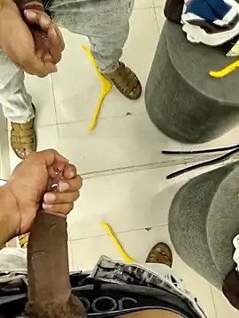 KingCobraClassy webcam