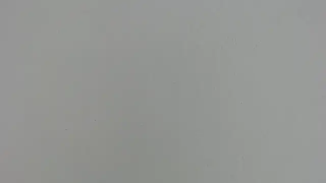 Ashley_Ebony__ webcam