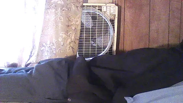 Preview of luke_thighwalker2469