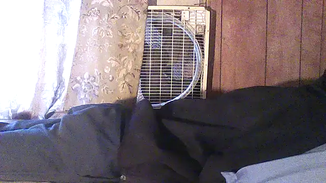 luke_thighwalker2469 webcam