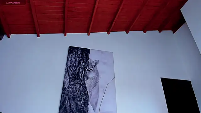 Santos_ramirez1 webcam