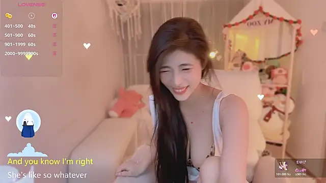 Vaidurya-Yolo webcam