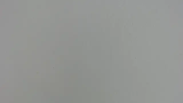 Ashley_Ebony__ webcam