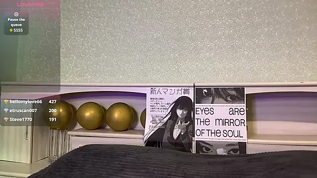 UpdatedRectus webcam