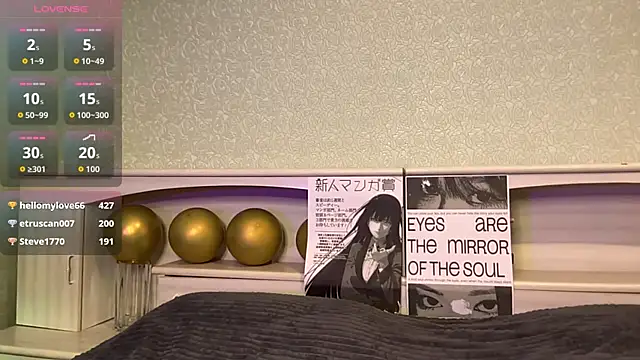 UpdatedRectus webcam