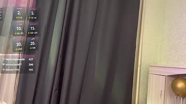 UpdatedRectus webcam