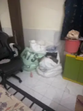 Chardonnay_Crystal webcam