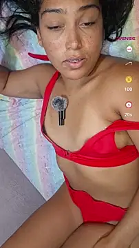 Putaalexa webcam