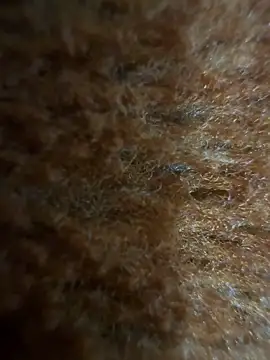 ravirishi1122 webcam