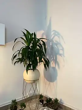 goddess_curvyy webcam