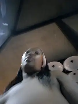 SWEETDOLLY29XX webcam