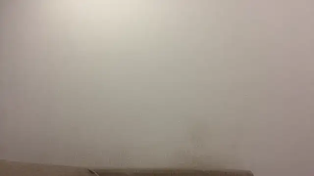 TanjaBrounson webcam