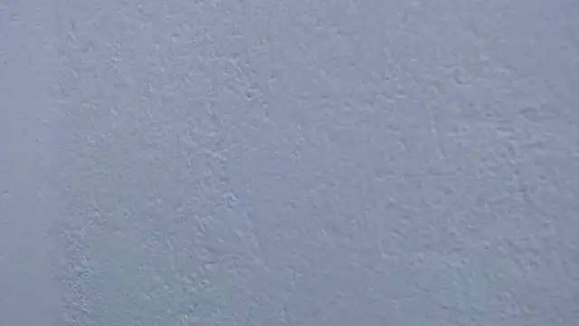 carolina_zabala_19 webcam