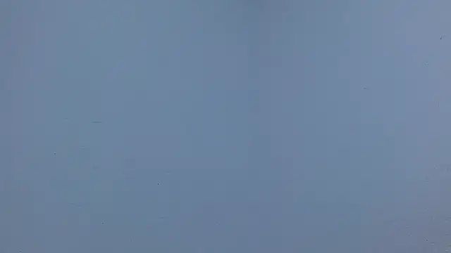 isabel_24_gil webcam