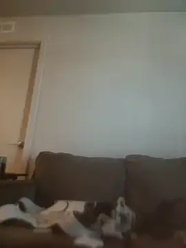 yourMasterisBored webcam