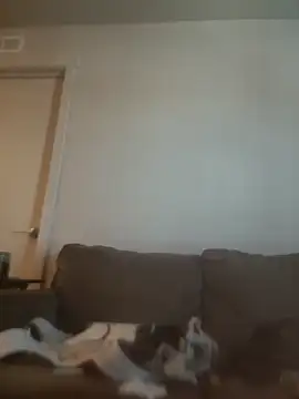 yourMasterisBored webcam