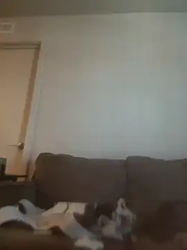 yourMasterisBored webcam