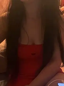 LaPetitechienne1 webcam