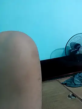 WarningEmerald webcam