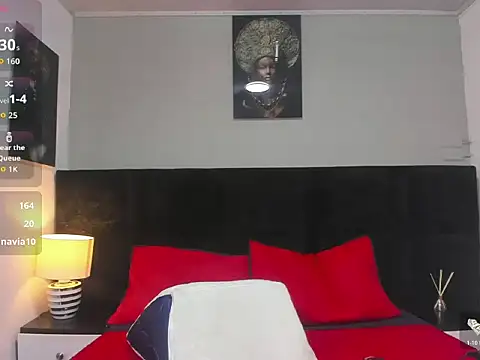 _Alan_Walker_1 webcam