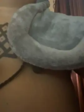 nickytheehawtie webcam