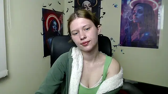 StellaCRL webcam