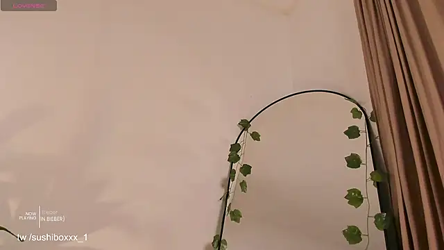 sushiboxxx live sex cam