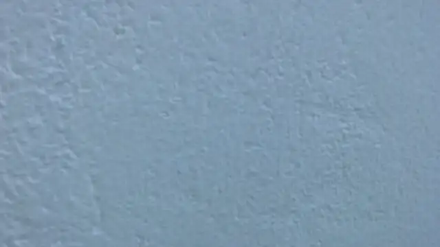 carolina_zabala_19 webcam