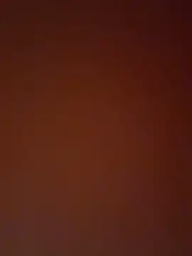 ElijahandOlga webcam