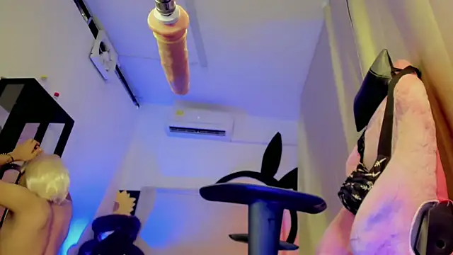 Top_and_bottom webcam