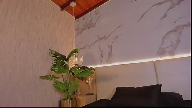 Celeste-Evanns webcam