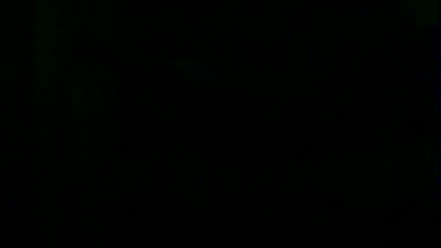 markluvskitty webcam