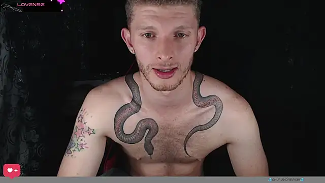 andrewxbi webcam