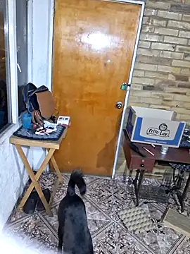 old_soul_and_young_spirit webcam