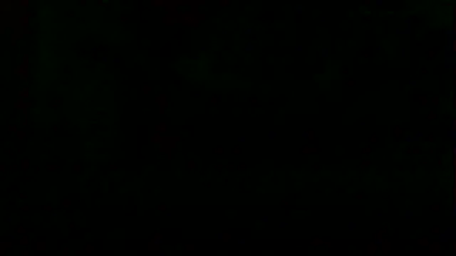 markluvskitty webcam