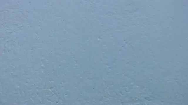 carolina_zabala_19 webcam