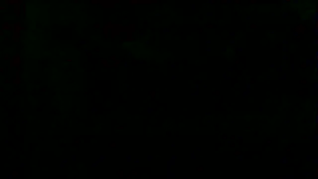 markluvskitty webcam